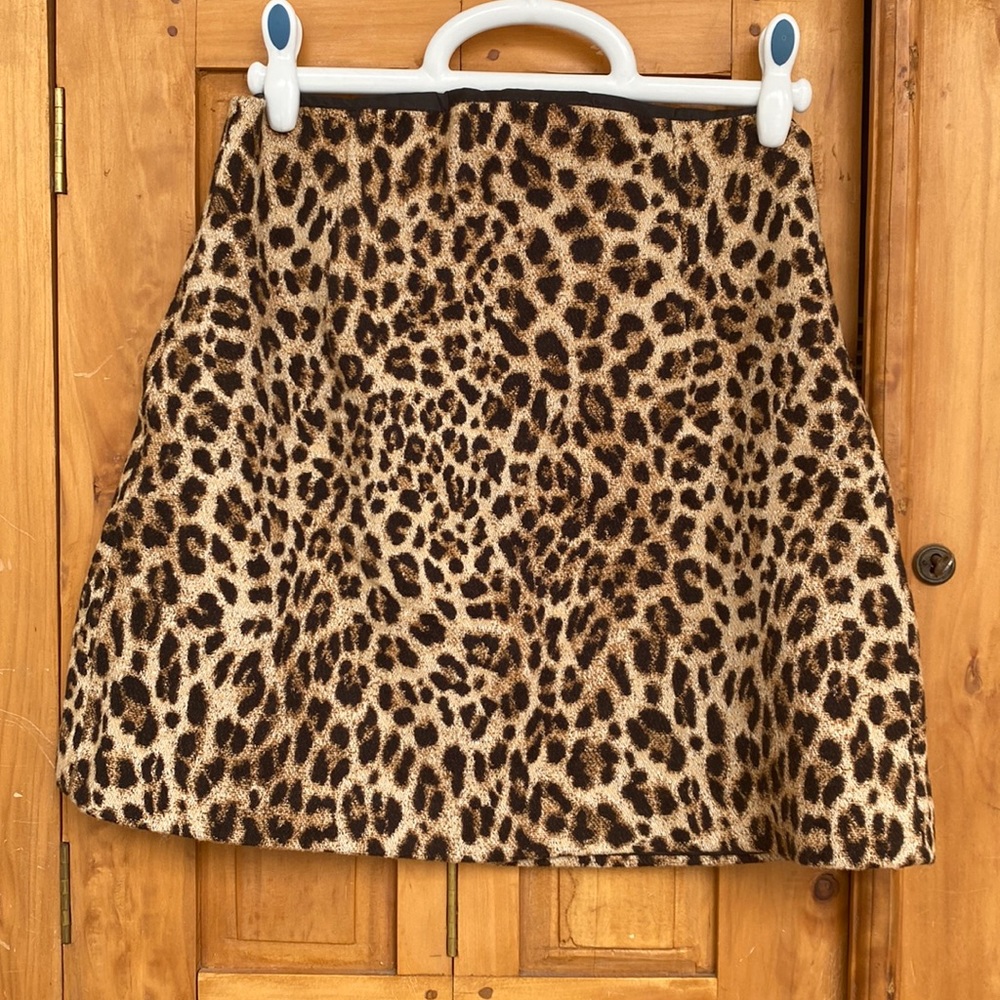 Zara Leopard Print Skirt